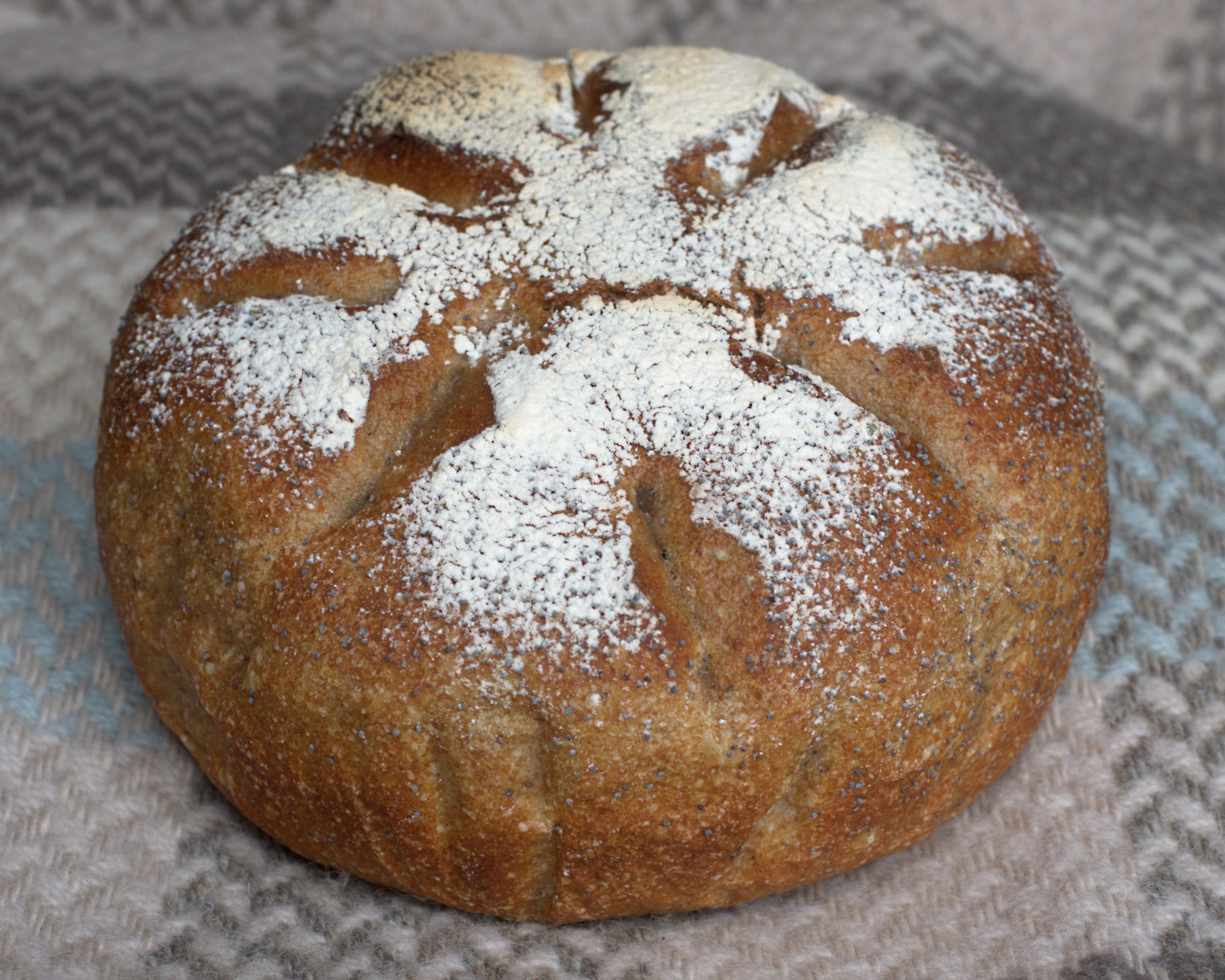 Plain Rye Sourdough 800g