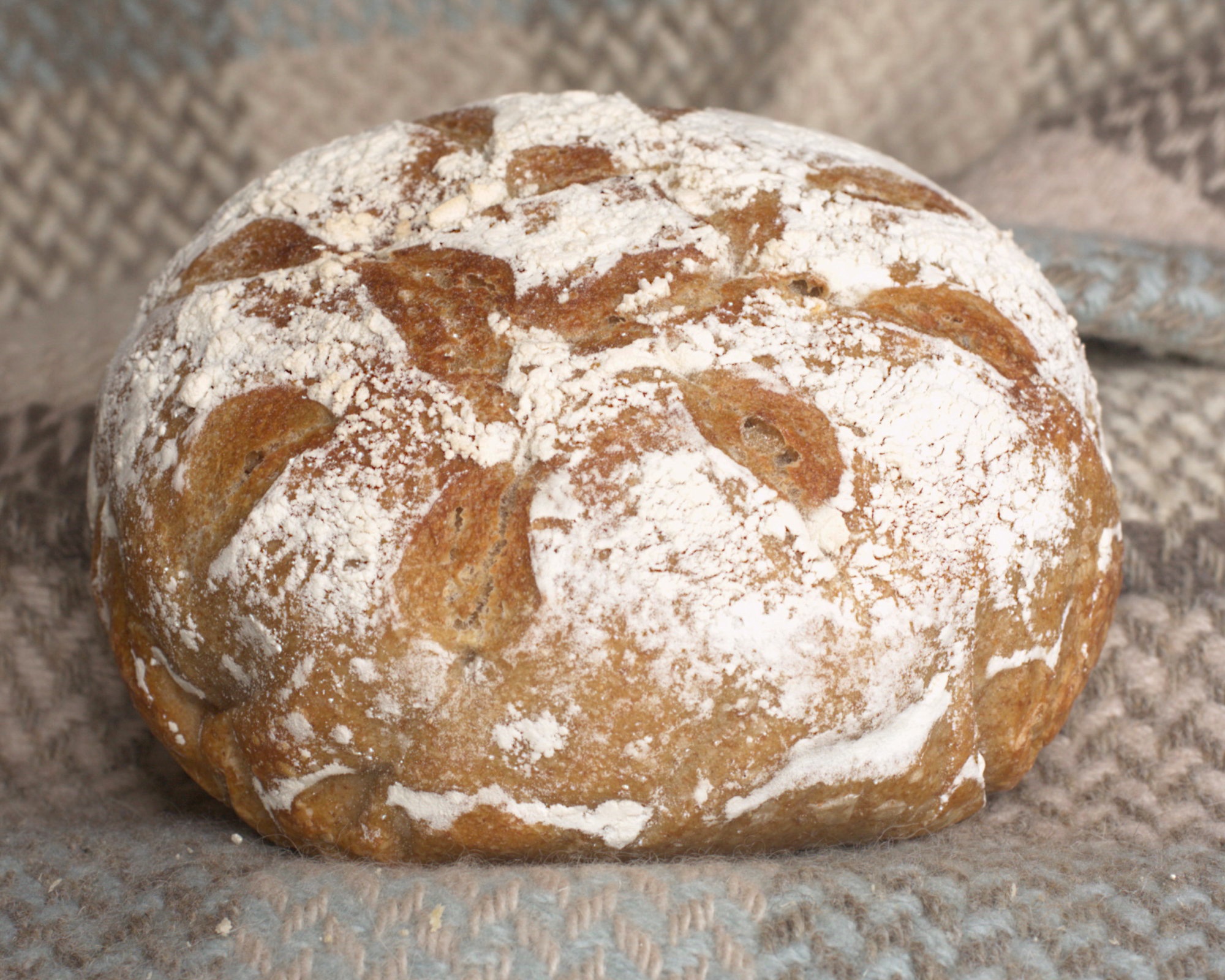 Plain Wholemeal Sourdough 800g